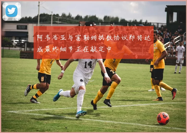 阿韦洛亚与富勒姆执教协议即将达成最终细节正在敲定中